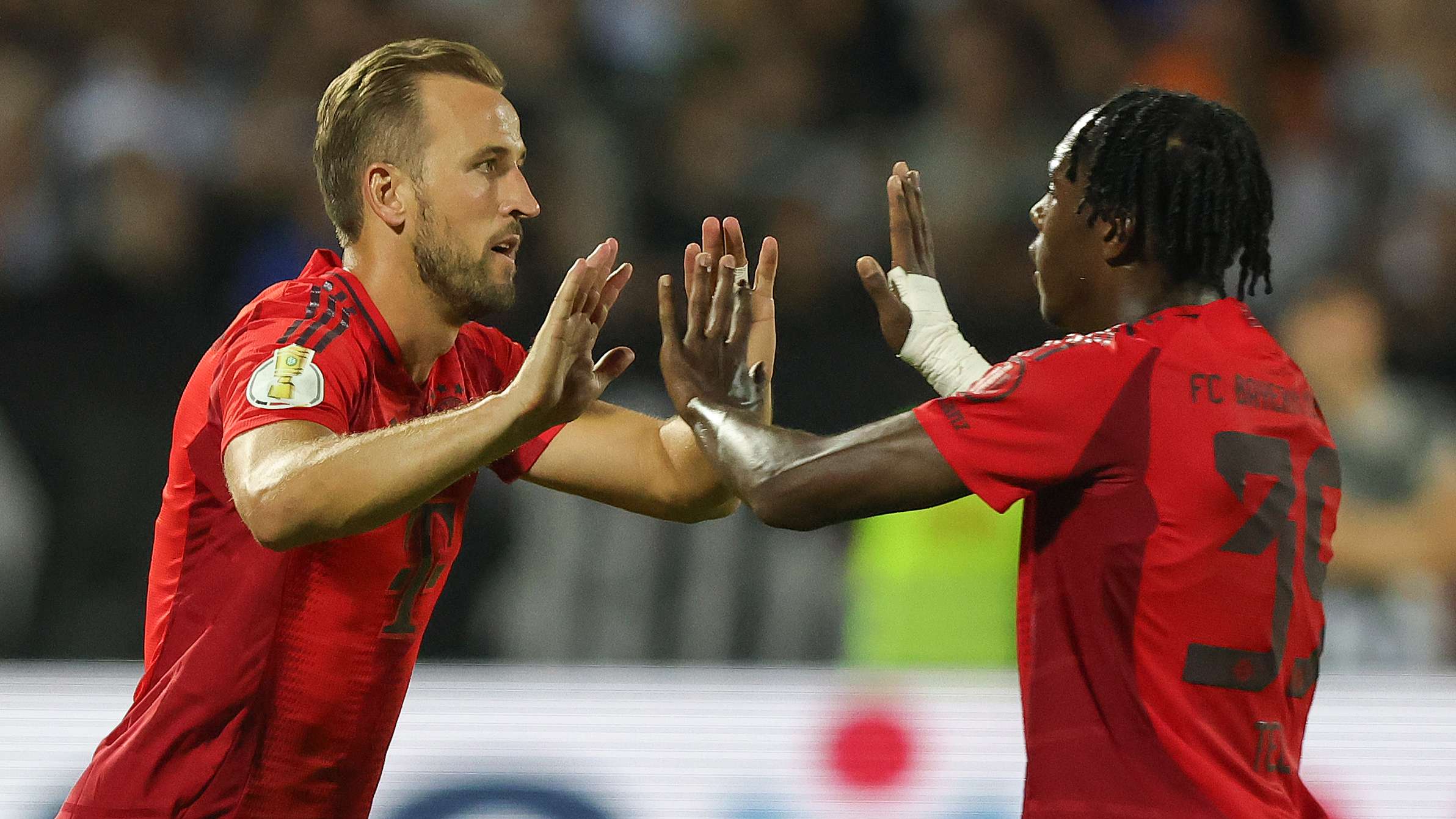 他們在夏窗 他們在夏窗