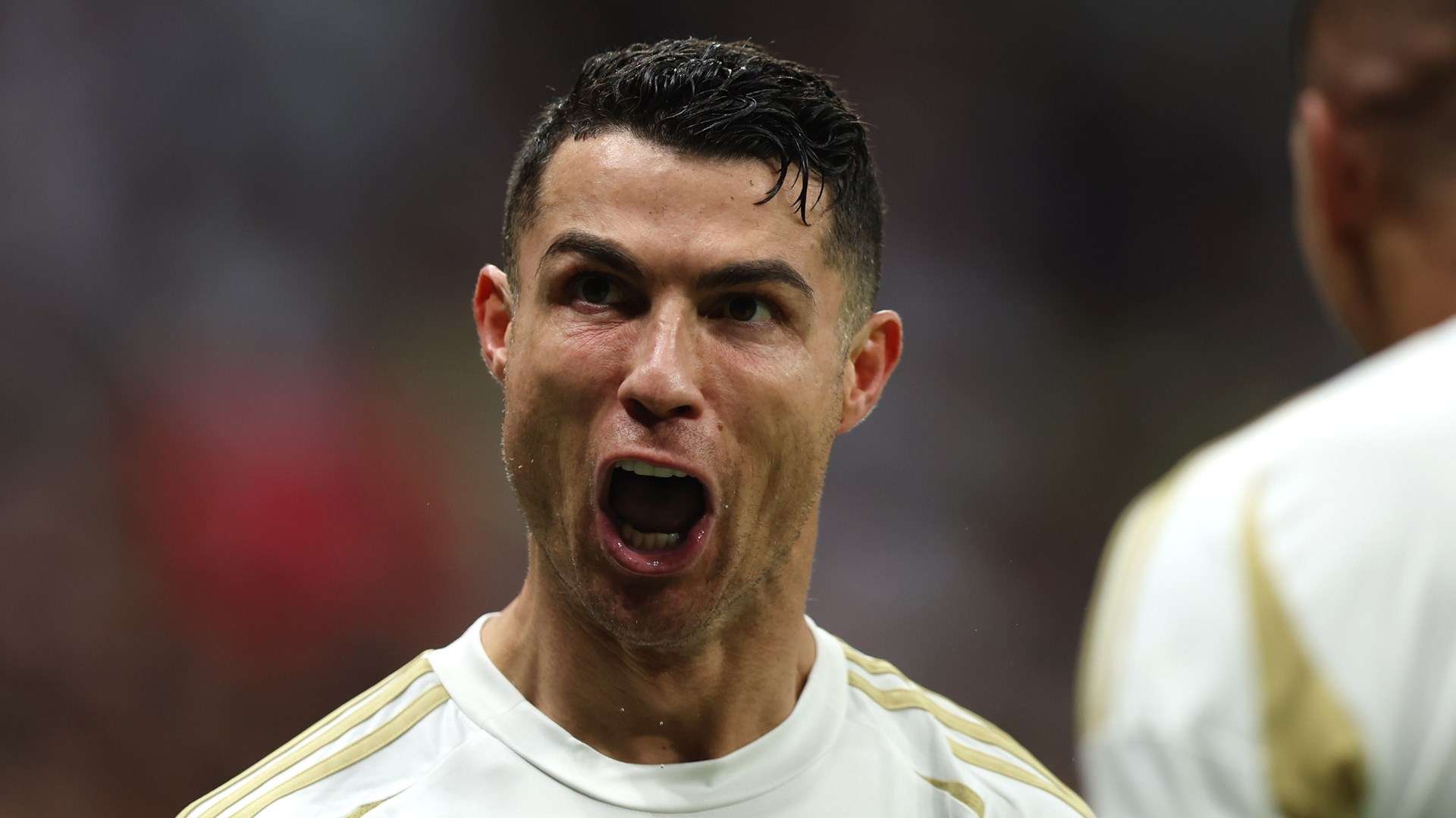 持续进化 持续进化